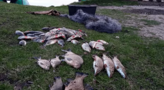 žvejyba neleistinomis priemonėmis