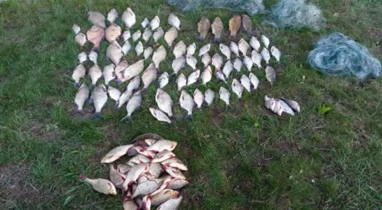 Alytaus brakonieriai
