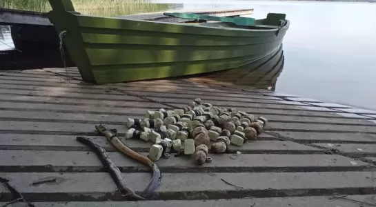 brakonieriai
