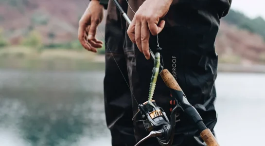 lašišų ir šlakių žvejybos ribojimai