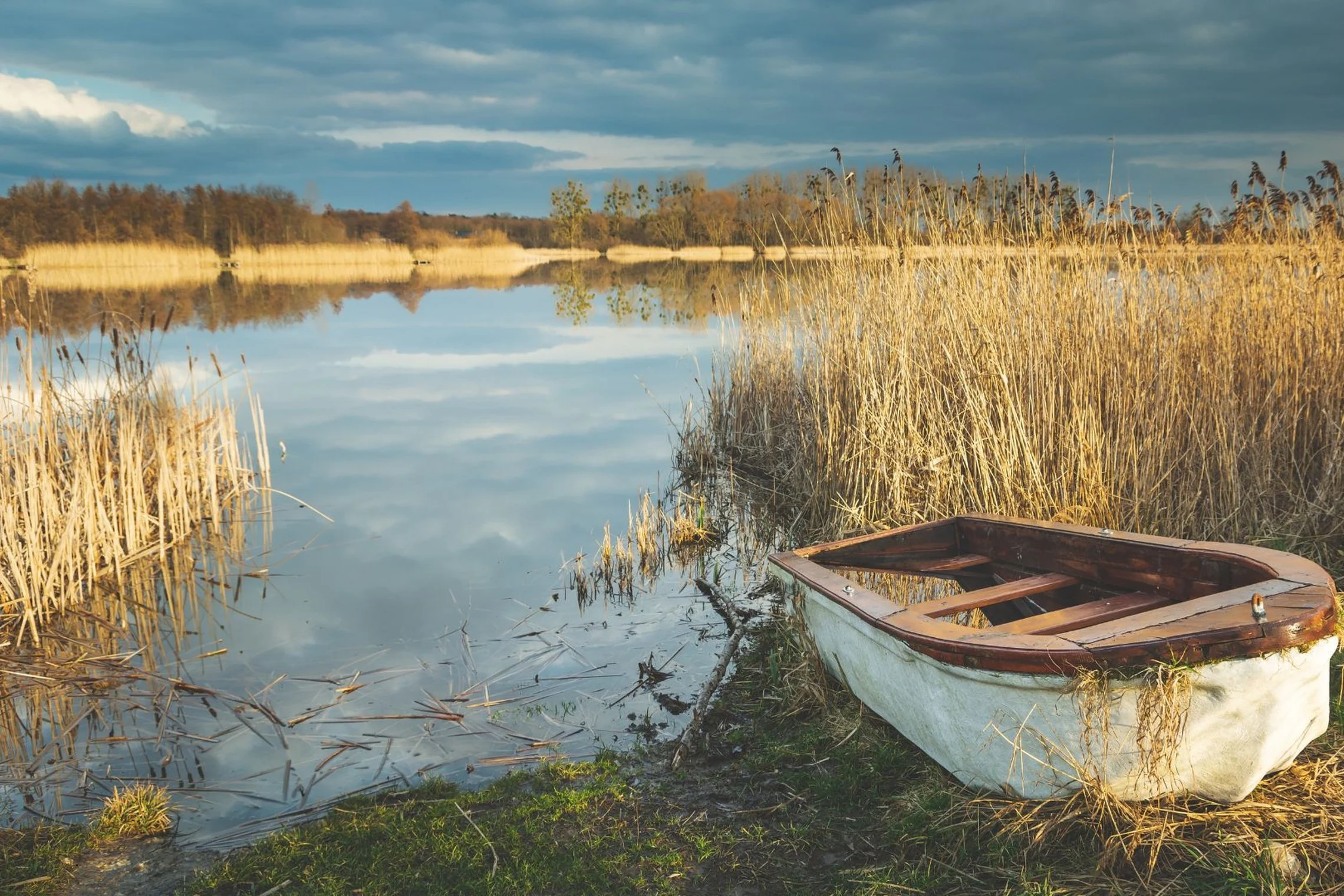 Telkinių pakrančių tvarkymas