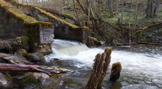 Užtvankų griovimas